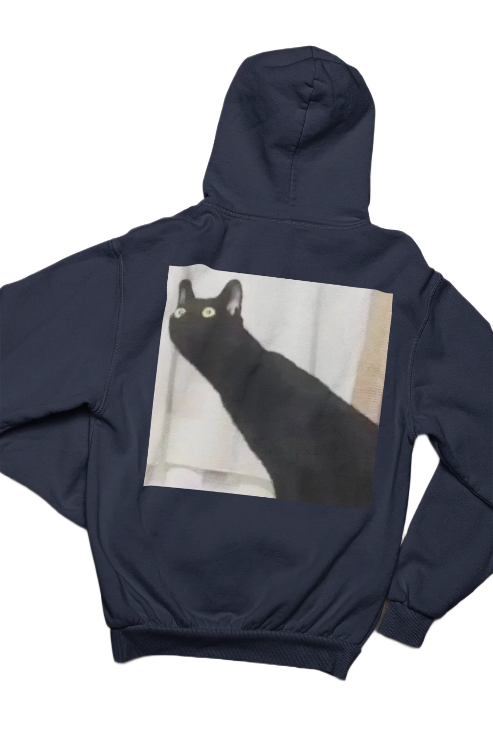 black cat lover Hoodie