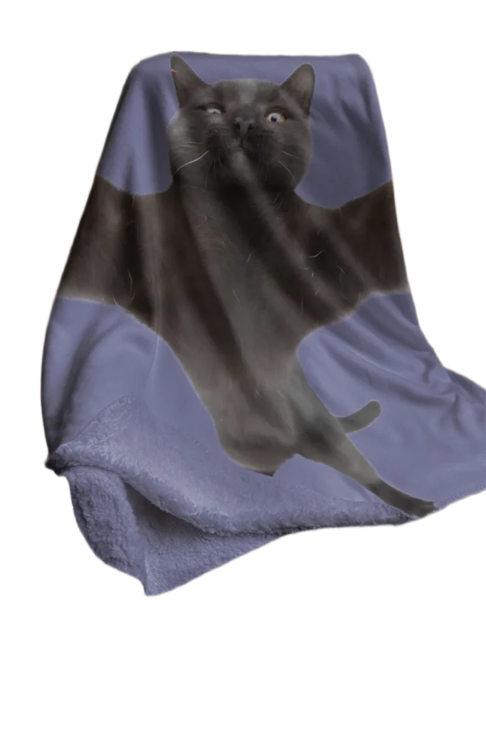 void cat lover cat hugging blanket